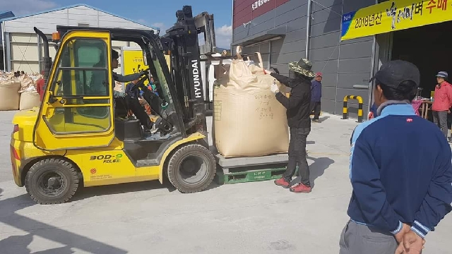 2018 골든퀸1차수매 대표 이미지