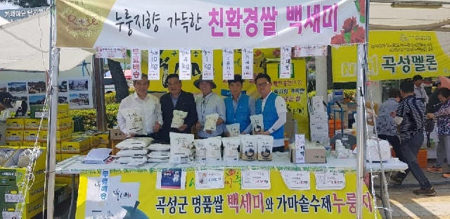 2019세계장미축제 대표 이미지